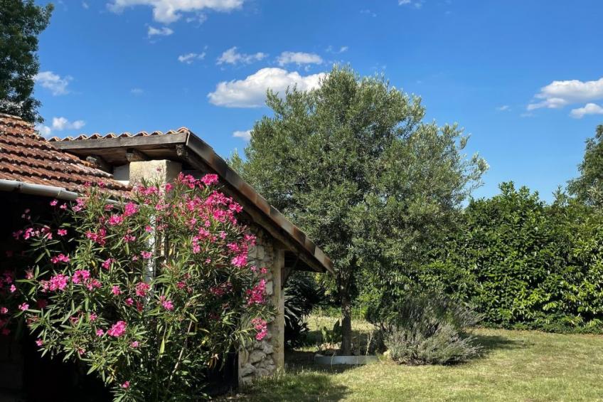 Pujols Grande - foto 15