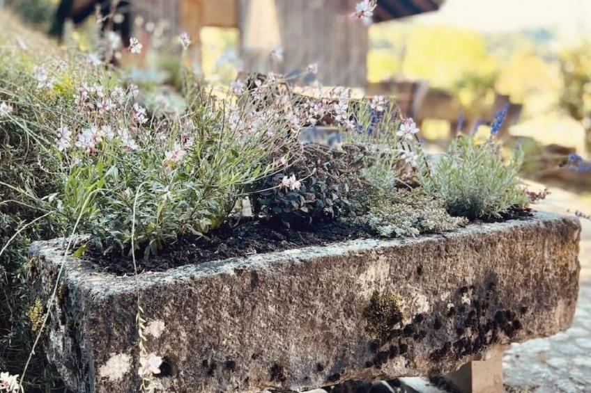 Alpaka-Ferienhaus Oenzlen - foto 22