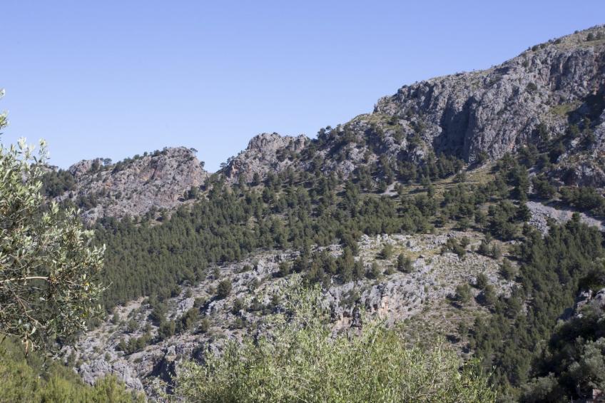 VILLA ES COCO SOLLER - foto 26