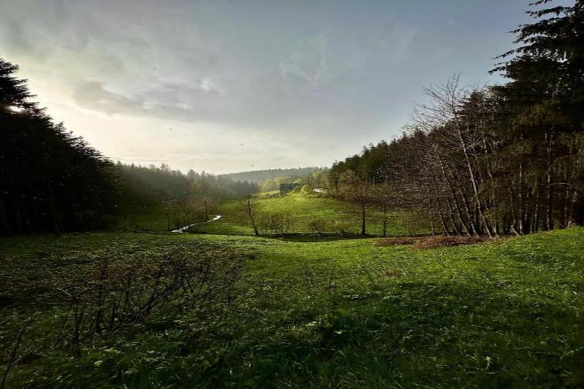 Gütenbach - foto 30