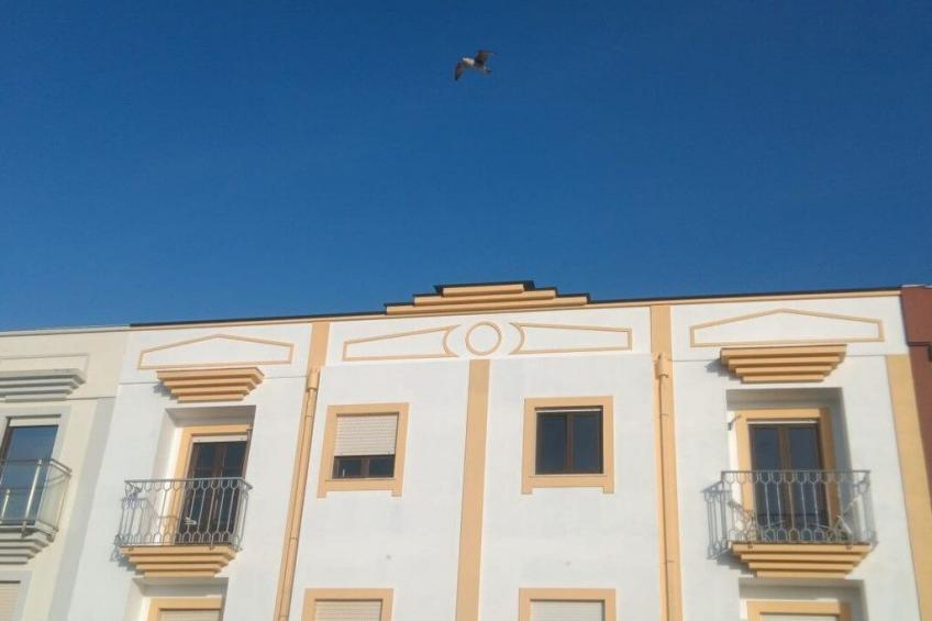 Mit den Füßen im Sand - foto 22