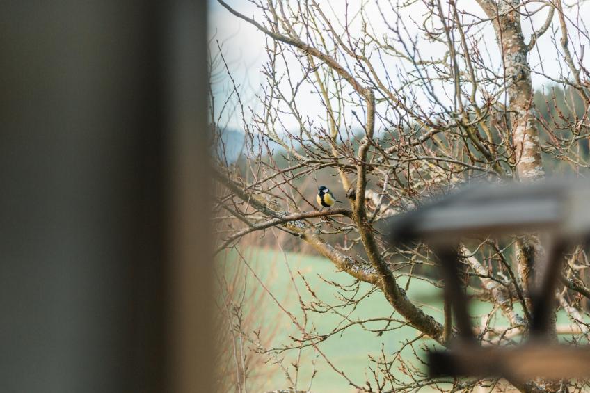 Im Bayerischen Wald - foto 21