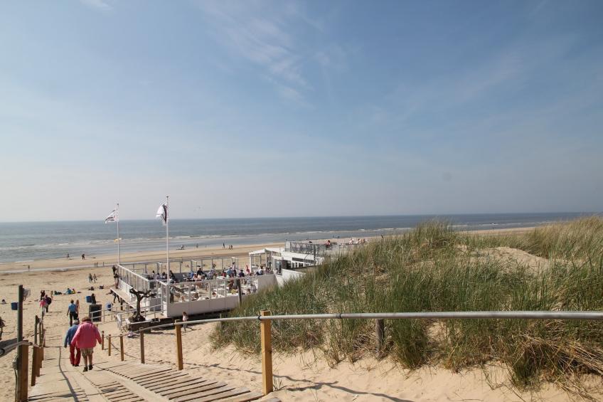 Tijgeroog - foto 36