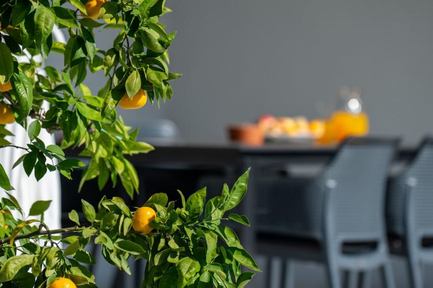 Moderne Villa bei Barban - foto 24