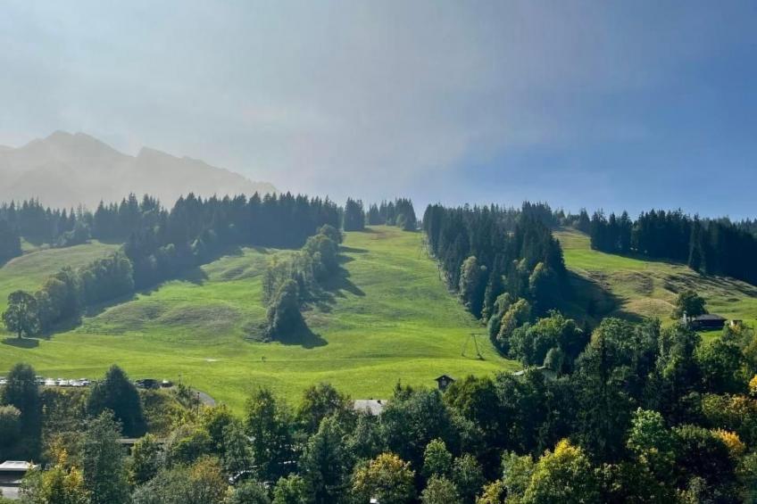 Gemütliche Ferienwohnung im Zentrum Sörenberg - foto 27