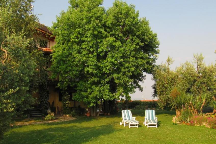 TERRAZZE SUL GARDA - foto 36