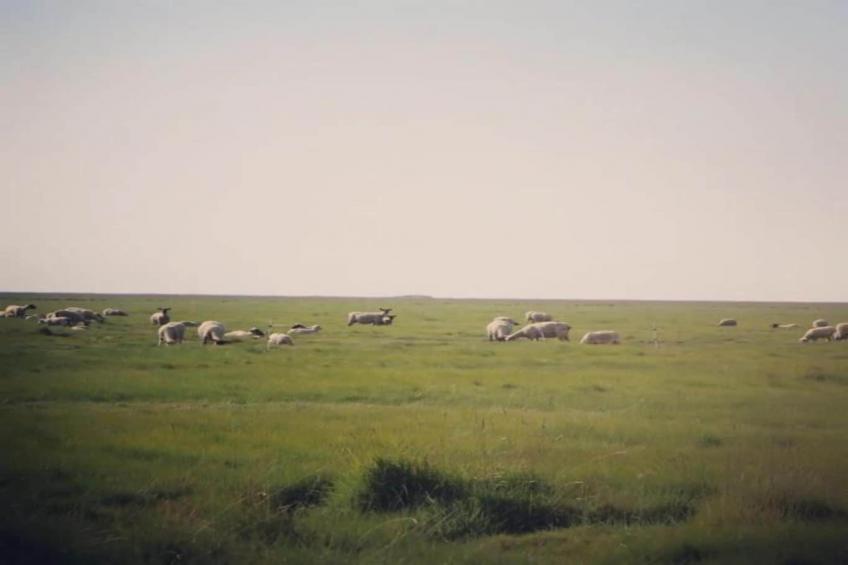 Le Domaine du Mont - foto 31