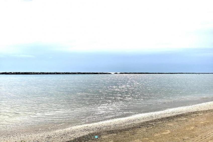 Vanessa Coccinella - foto 33