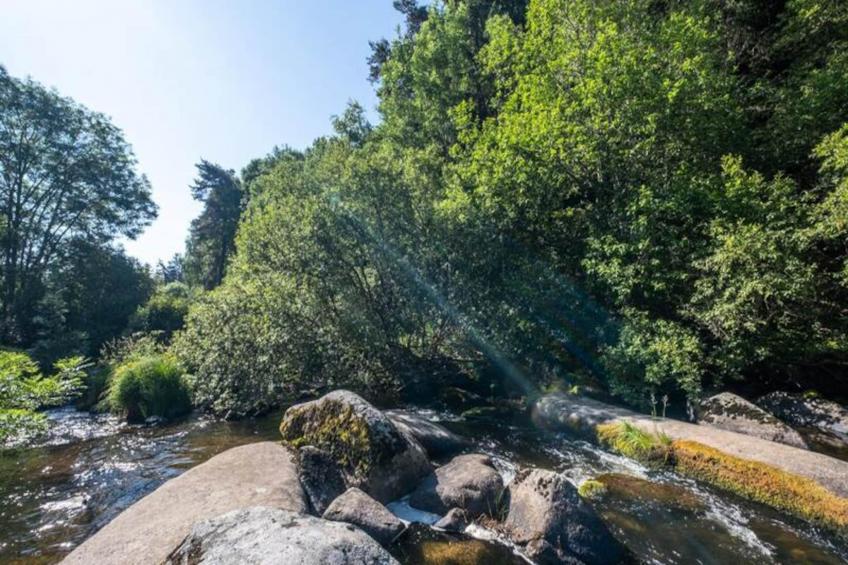Gîte de France Le moulin du chambon 6/8 pers 3 épis - foto 41