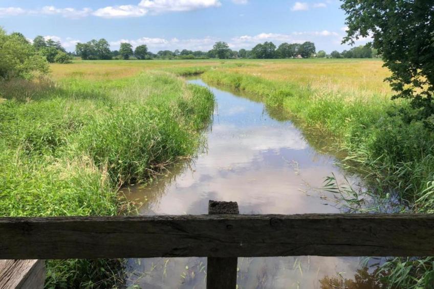 Vakantiepark de Vossenburcht - foto 35