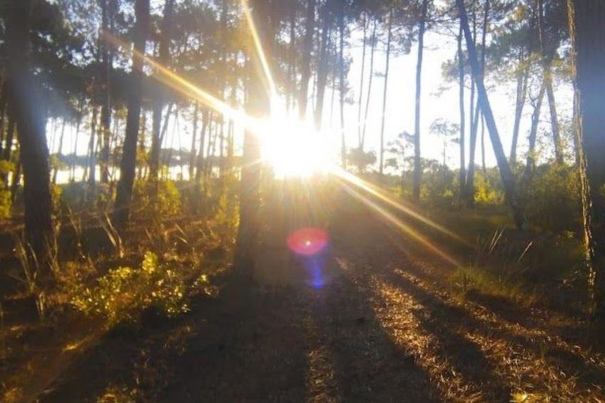 Villa contis-Plage 900m vom Ozean entfernt - foto 36