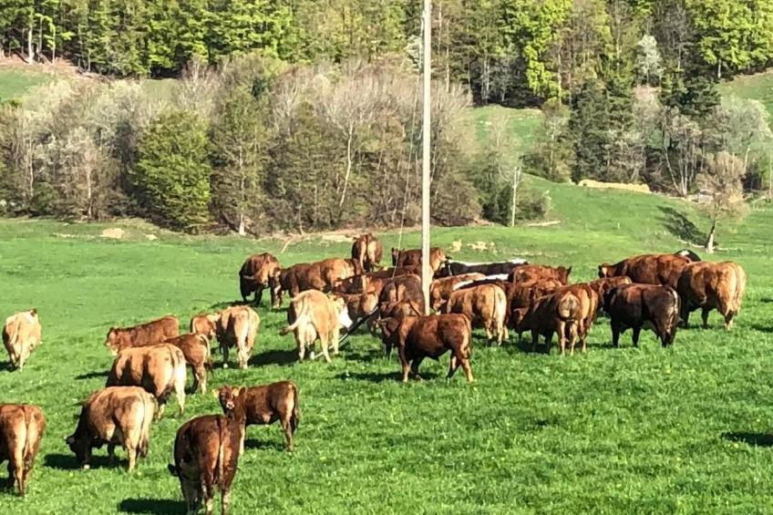 Schafmatthof 1 Obergeschoss - foto 24