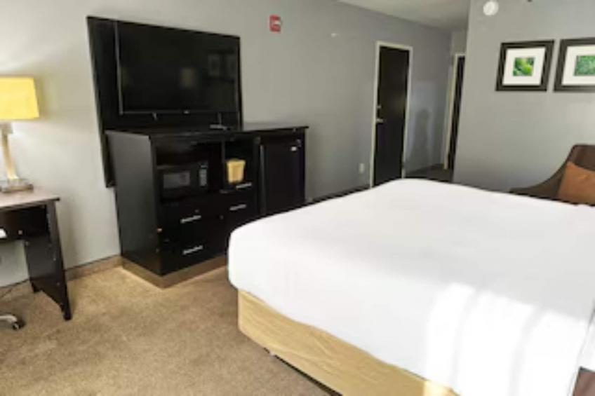 King Bed Accessible - foto 4