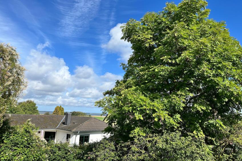 vakantiehuis, Vieregge - foto 19
