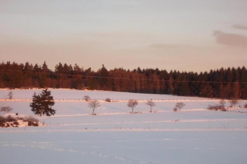 Grabenhaus - foto 25