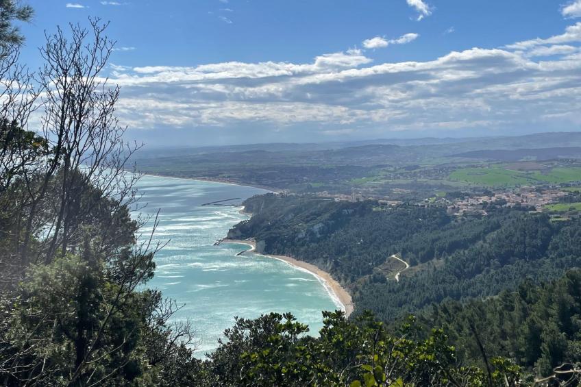 Monte Pino - foto 26