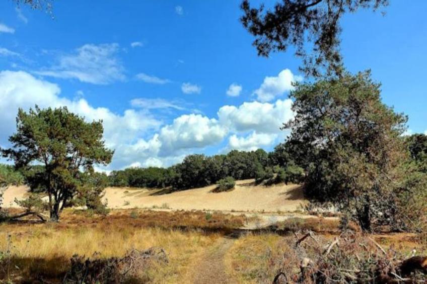 Vakantiepark De Pier - foto 35