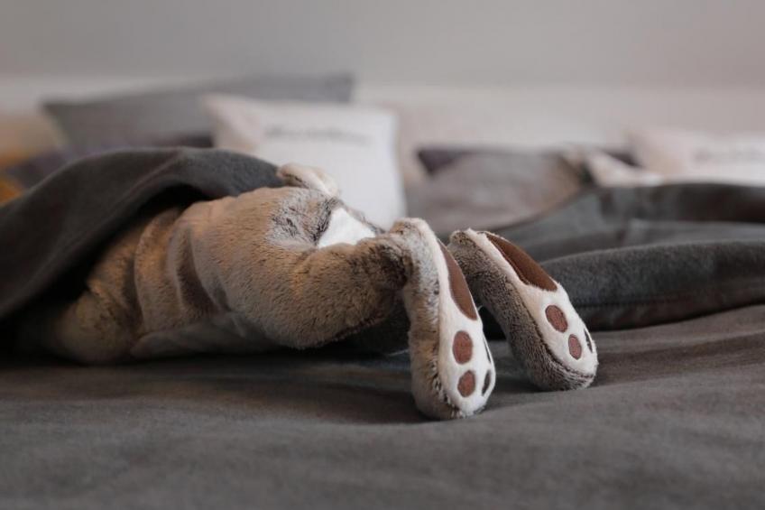 Appartement in Mastershausen mit Terrasse, Garten und Grill - foto 8