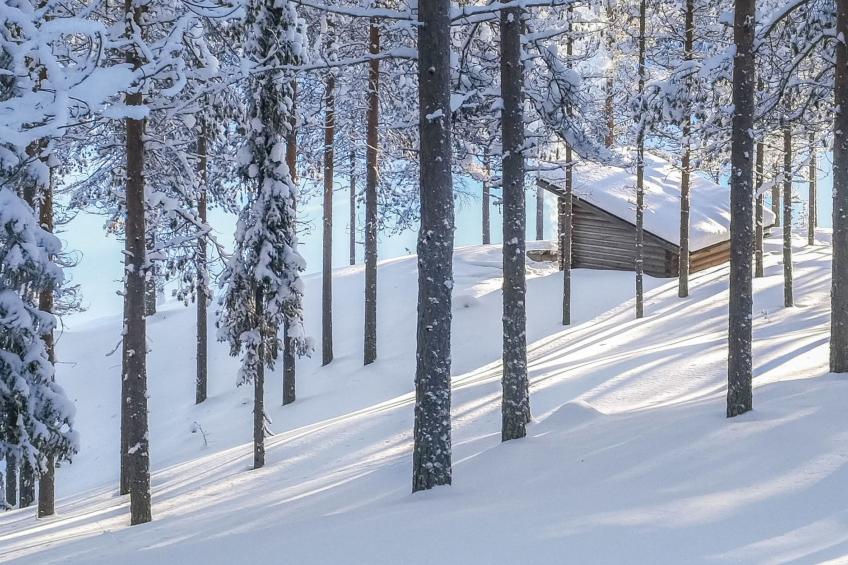 Huuhkalinna - foto 3