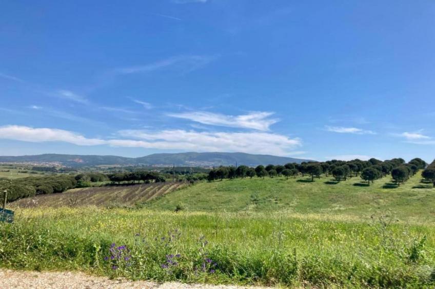 Casa do Coqueiro - foto 39