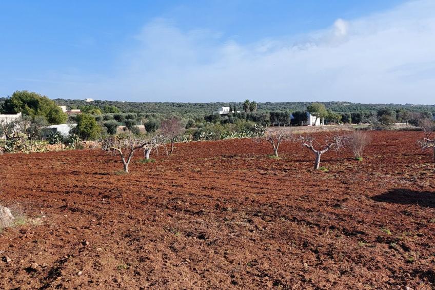 Villa Lona - foto 41