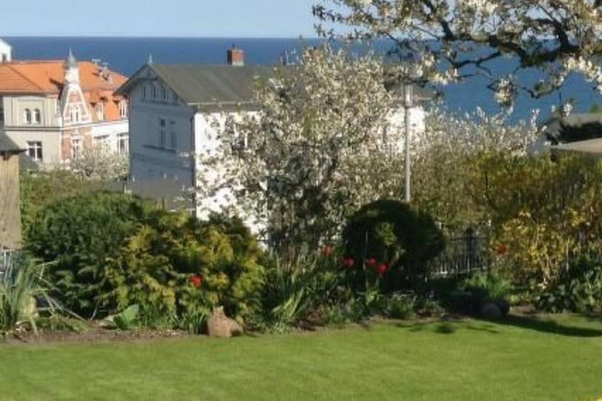 Strandläuferle - foto 24