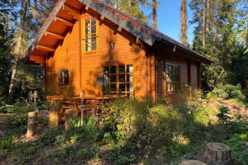 WaldhausEichhörnchen