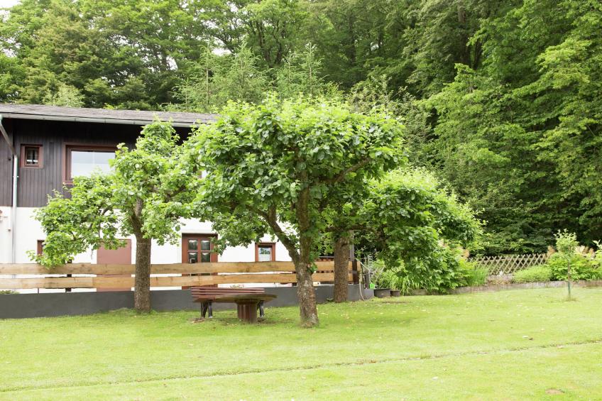 Medebach - foto 22