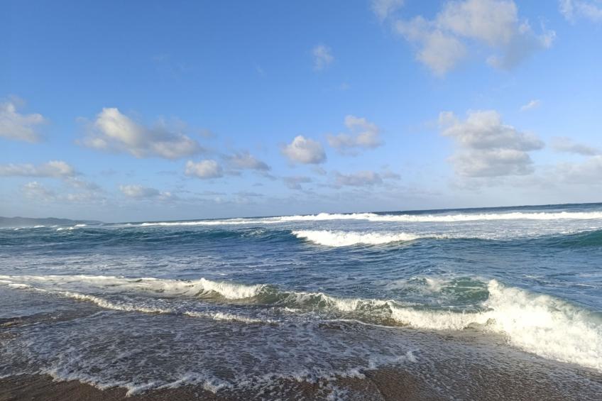 National Park View - foto 25