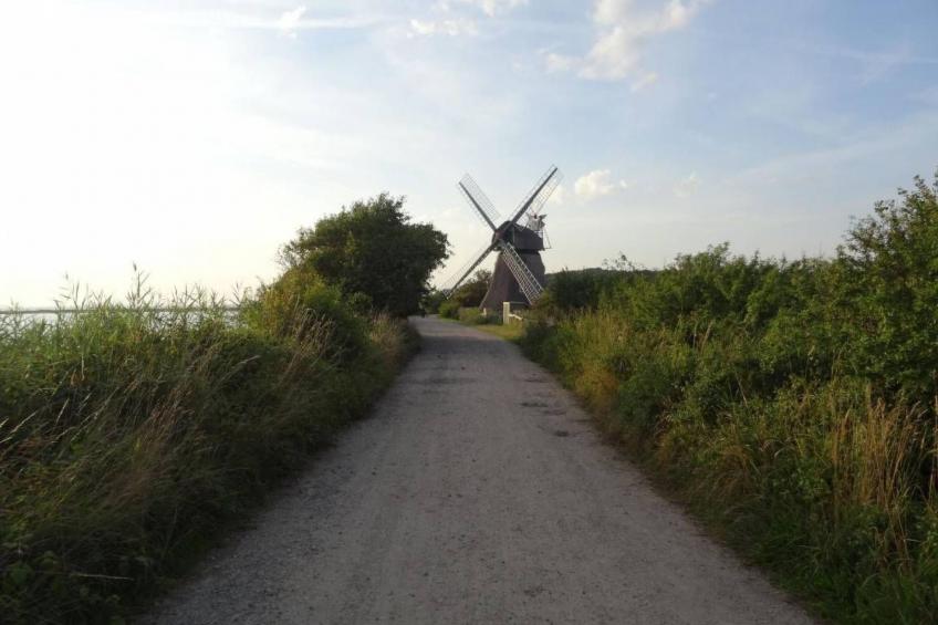 Urlaub am Meer im Ferienhaus mit Sauna - foto 33