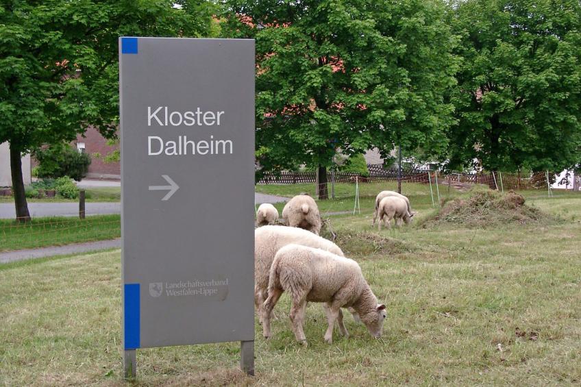 "Europaferiendorf C7" - foto 27