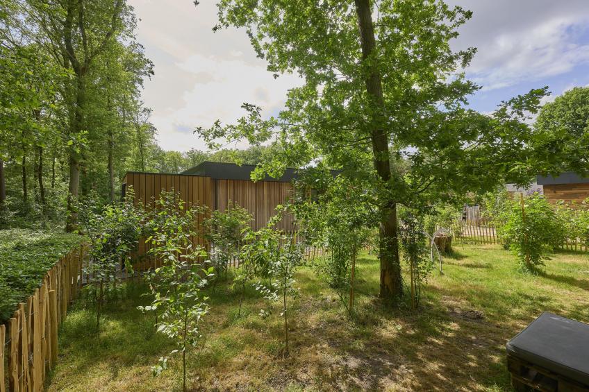 Cabin 22 - foto 40
