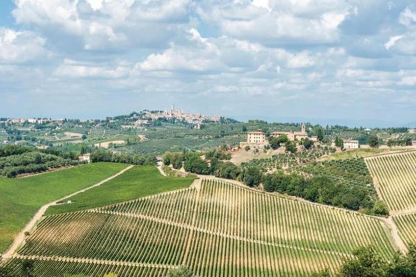 Villa Petra Sei - foto 22