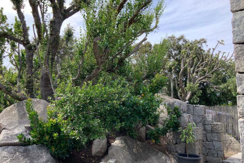 La Loggia mit privatem Pool - foto 103