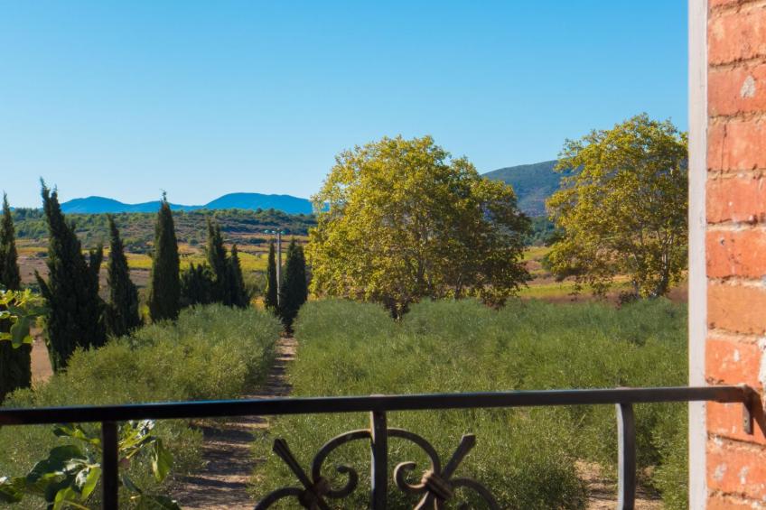 in Murviel-les-Béziers, - foto 12