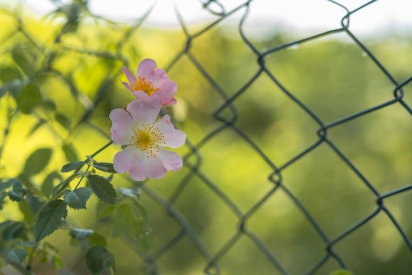 Seewind / 7-8 Personen|Seewind, 7-8 Personen - foto 34