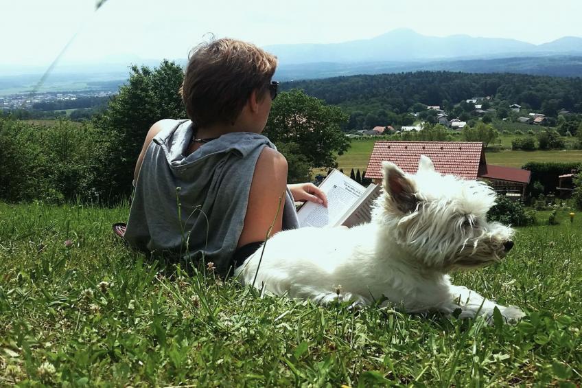 Rustic Refuge Glamping with Hot-Tub and Sauna - Double room with Terrace - foto 28