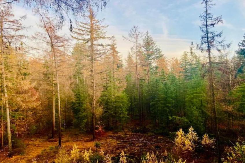 De Veluwse Hoevegaerde 2 - foto 27