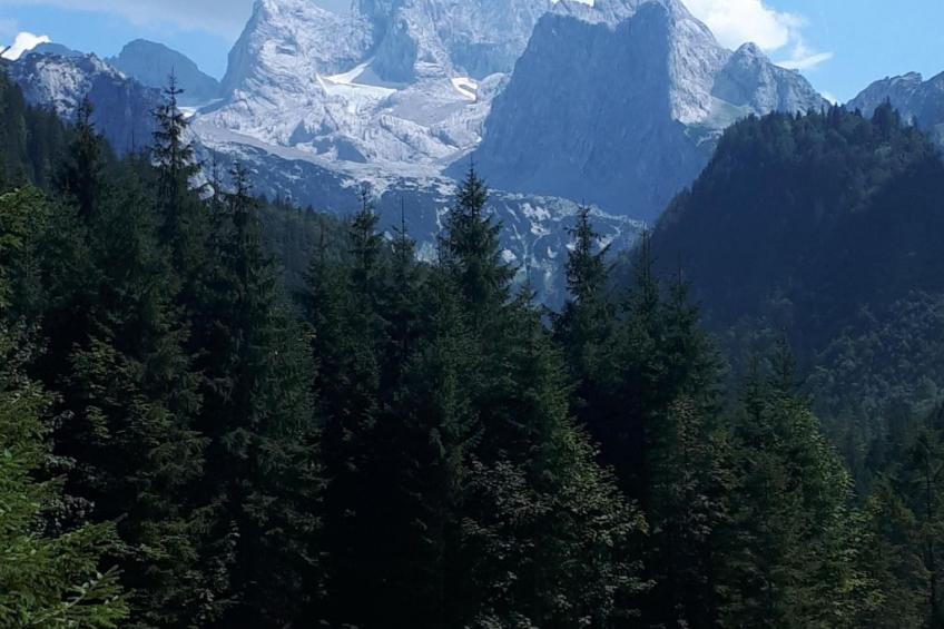 Apartment Daniel - foto 54