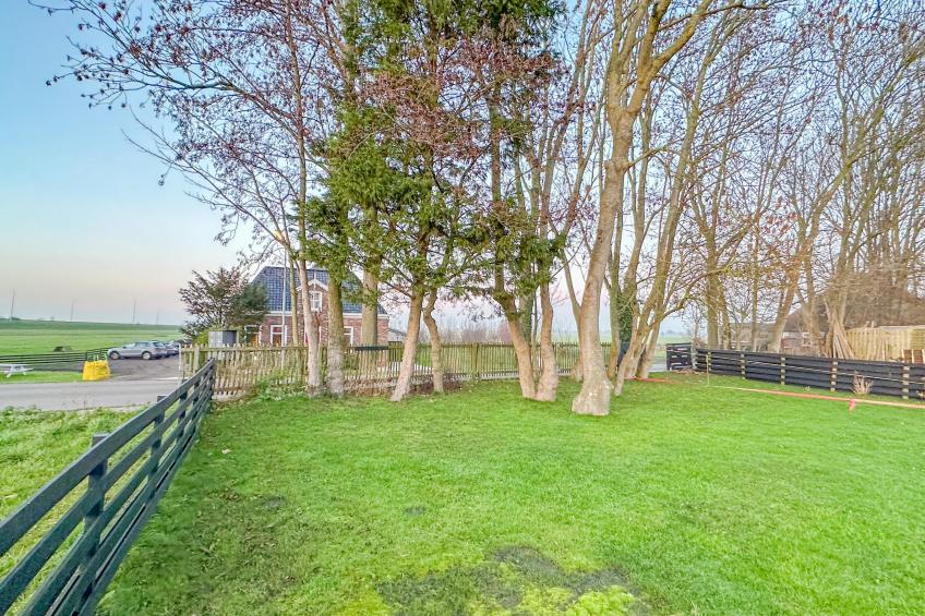 Beets View - foto 34