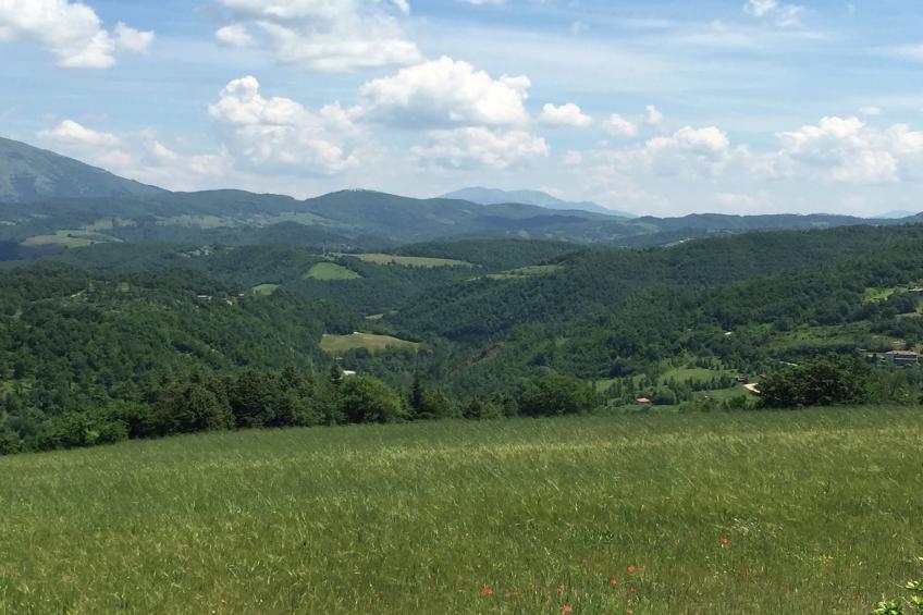 Scalocchio - foto 31