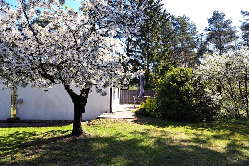 mit Terrasse mitten im Grünen - foto 4