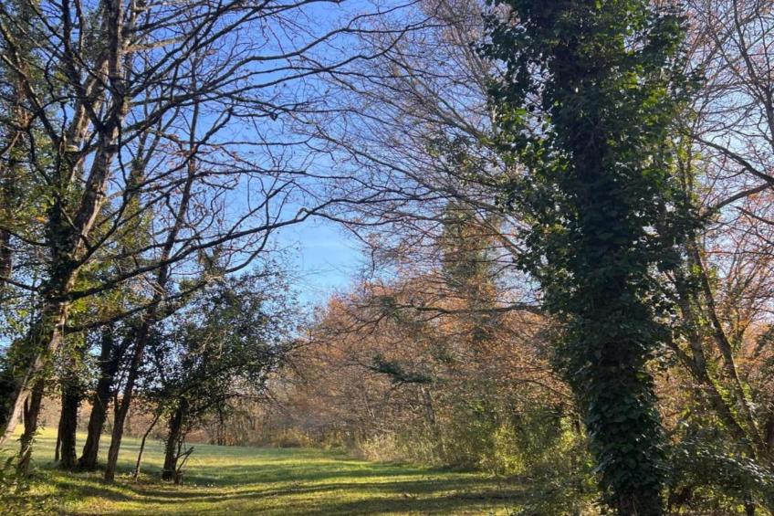 Les Côteaux de Sarlat - foto 28