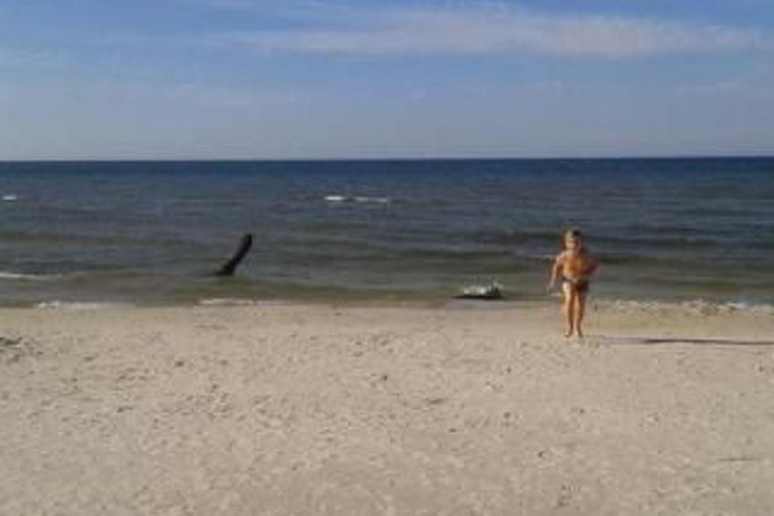 in Bychowo mit Großem Garten - foto 25