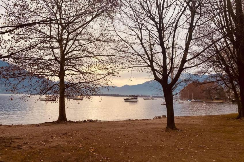 Residenza Arazzo - foto 17