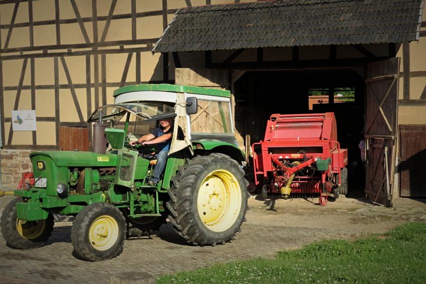 Am Ferienbauernhof - foto 39