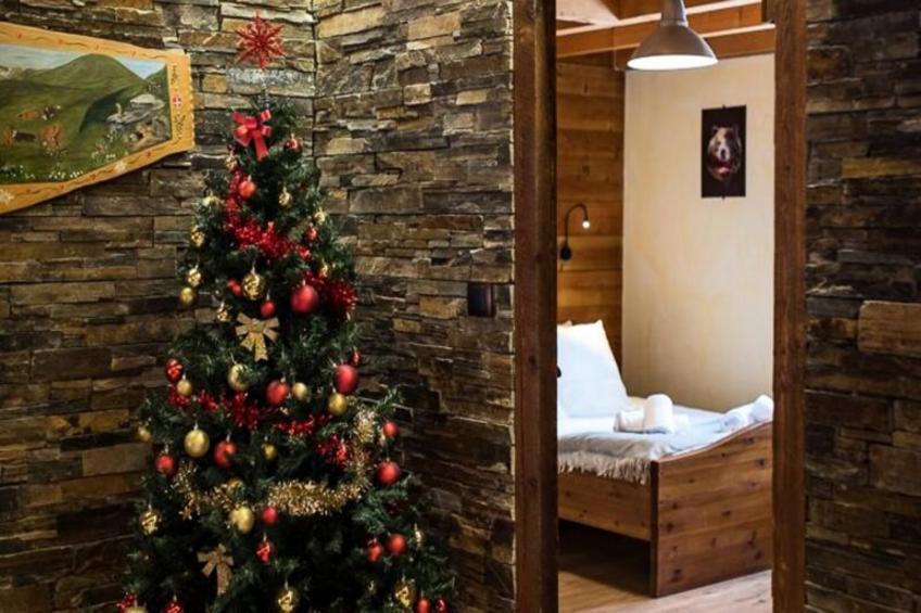 Chalet D'aimé-st Sorlin D Arves - foto 19