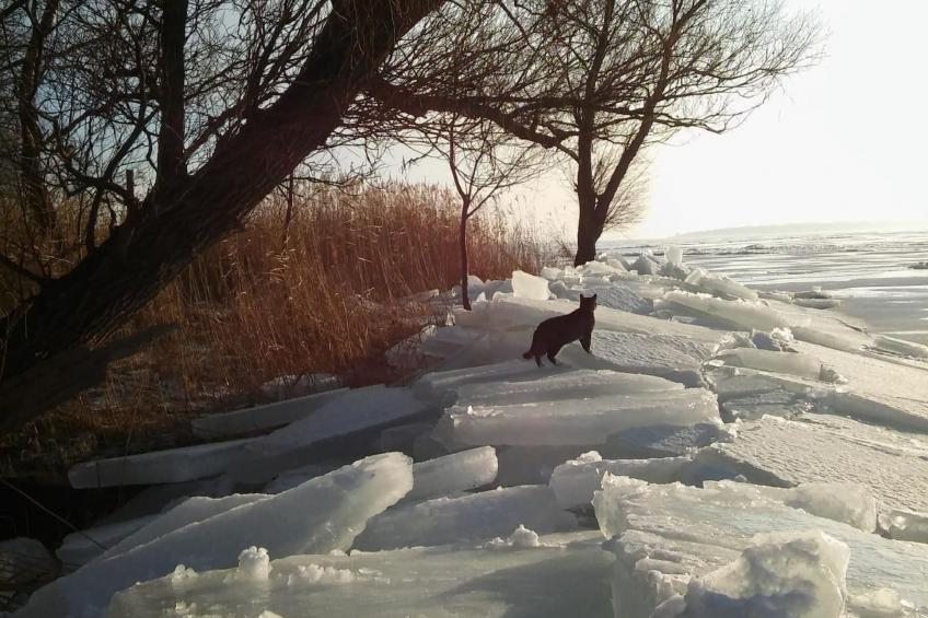 Juwel an der Lagune - foto 31