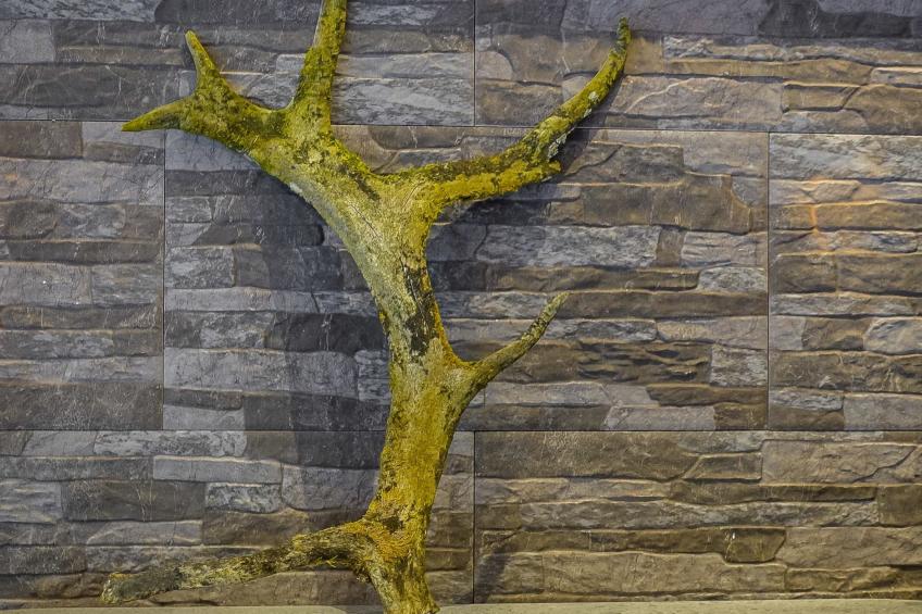 Villa tunturisopuli - foto 28