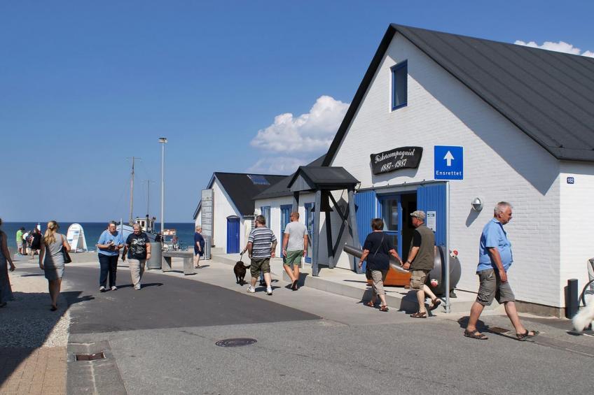 "Eroll" - 1.8km from the sea in NW Jutland - foto 32